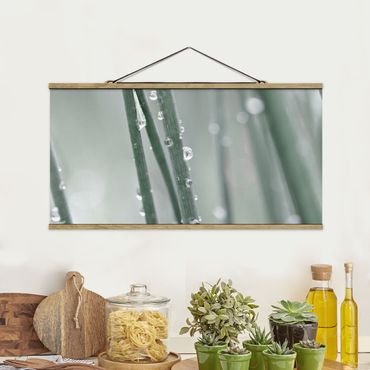 Fabric print with poster hangers - Macro Image Beads Of Water On Grass - Landscape format 2:1