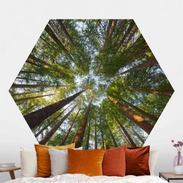 Self-adhesive hexagonal pattern wallpaper - Sequoia Tree Tops