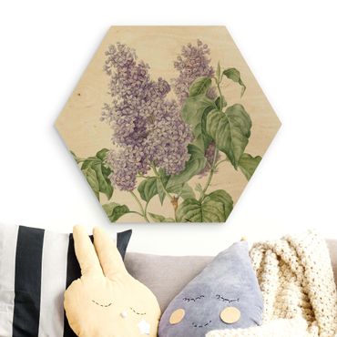 Wooden hexagon - Maria Geertruyd Barbiers-Snabilie - Lilac