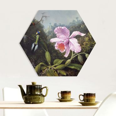 Forex hexagon - Martin Johnson Heade - Still Life With An Orchid And A Pair Of Hummingbirds