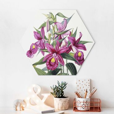 Alu-Dibond hexagon - Maxim Gauci – Orchid I