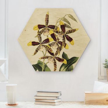 Wooden hexagon - Maxim Gauci – Orchid II