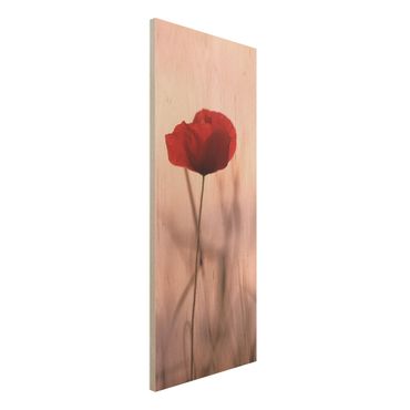 Wood print - Poppy Flower In Twilight