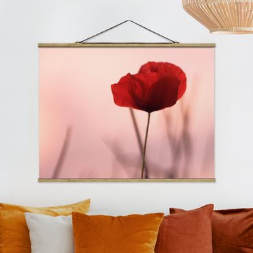Fabric print with poster hangers - Poppy Flower In Twilight - Landscape format 4:3