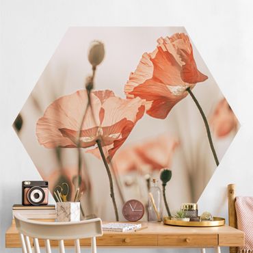 Self-adhesive hexagonal pattern wallpaper - Poppy Flowers In Summer Breeze