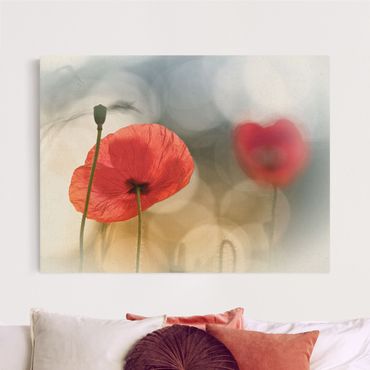 Natural canvas print - Poppy In The Morning - Landscape format 4:3