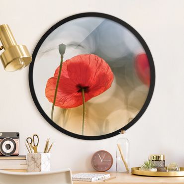 Circular framed print - Poppy In The Morning