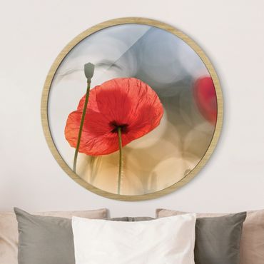 Circular framed print - Poppy In The Morning
