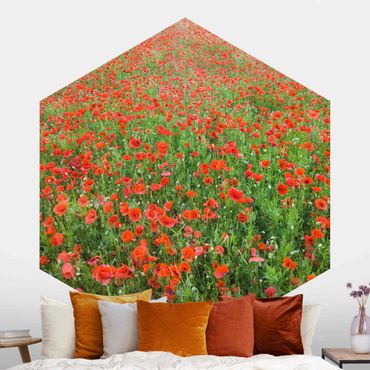 Self-adhesive hexagonal pattern wallpaper - Poppy Field