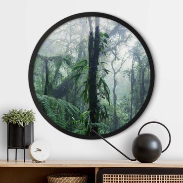 Circular framed print - Monteverde Cloud Forest