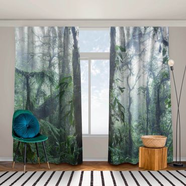 Curtain - Monteverde Cloud Forest
