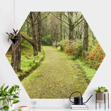 Self-adhesive hexagonal pattern wallpaper - Moss-covered Road