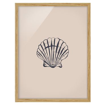 Framed prints - Shell sketch on beige