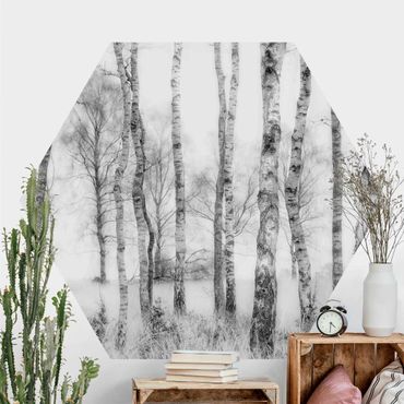 Self-adhesive hexagonal pattern wallpaper - Mystic Birch Forest Black And White