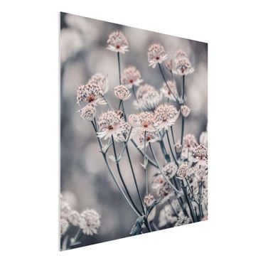 Print on forex - Mystical Bouquet Of Flowers - Square 1:1