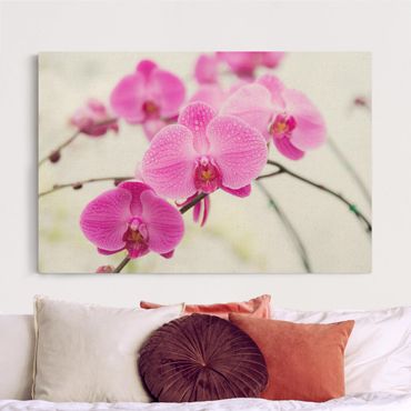 Natural canvas print - Close-Up Orchid - Landscape format 3:2