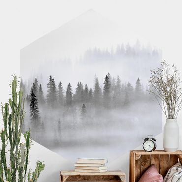 Self-adhesive hexagonal pattern wallpaper - Fog In The Fir Forest Black And White