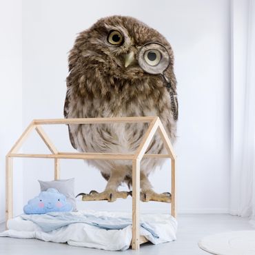 Wallpaper - Curious Owl
