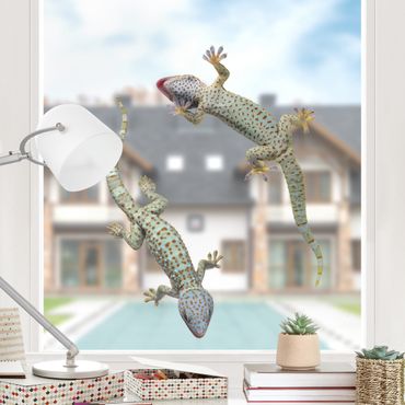 Window sticker - Curious Geckos