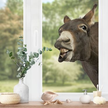 Window sticker - Curious Donkey
