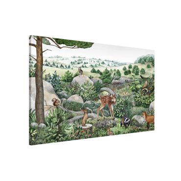 Magnetic memo board - Curious fawn on an exploratory tour