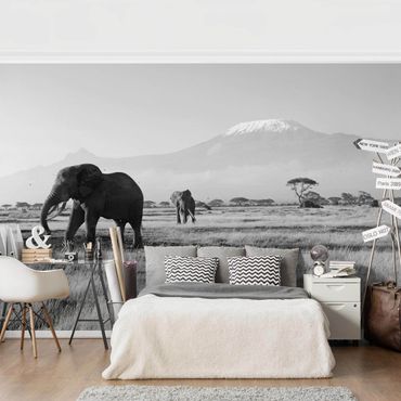 Wallpaper - No.287 Elephant In Front Of The Kilimanjaro In Kenya II