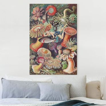 Print on canvas - Nymph With Sea Anemone
