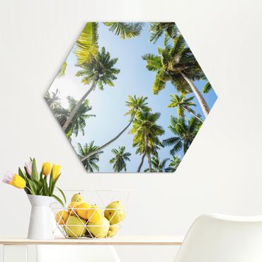 Alu-Dibond hexagon - Palm Tree Canopy