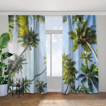 Curtain - Palm Tree Canopy