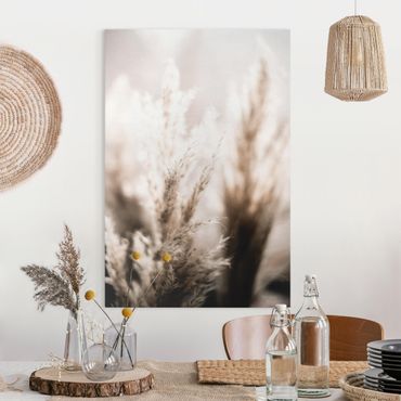 Canvas print - Pampas Grass In The Shadow