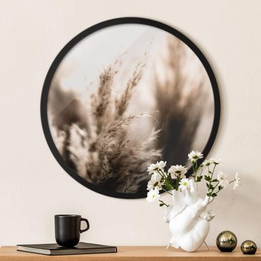 Circular framed print - Pampas Grass In The Shadow