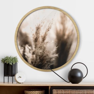Circular framed print - Pampas Grass In The Shadow