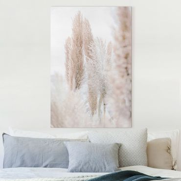 Canvas print - Pampas Grass In White Light