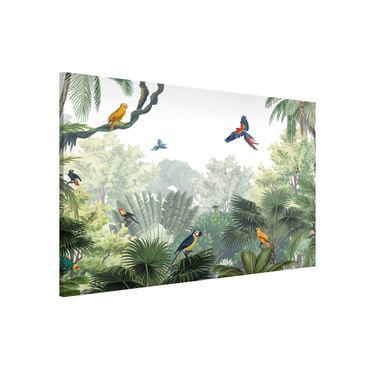 Magnetic memo board - Parrot parade in the gentle jungle