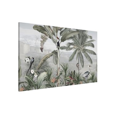 Magnetic memo board - Birds of paradise in the jungle panorama