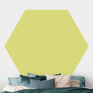 Self-adhesive hexagonal pattern wallpaper - Pastel Green
