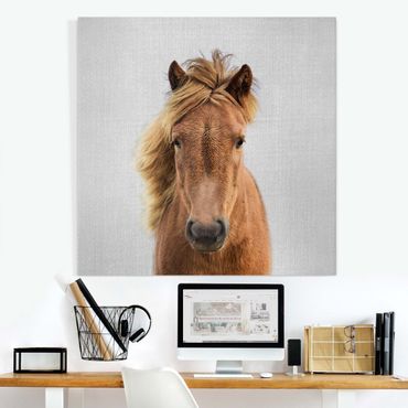 Canvas print - Horse Pauline - Square 1:1