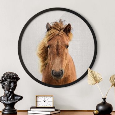 Circular framed print - Horse Pauline