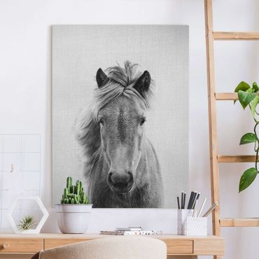 Canvas print - Horse Pauline Black And White - Portrait format 3:4