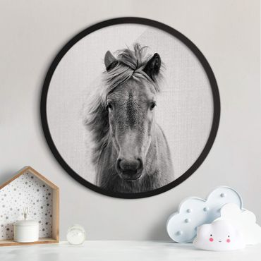 Circular framed print - Horse Pauline Black And White