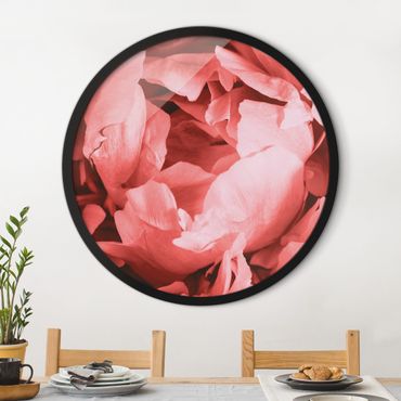 Circular framed print - Peony Blossom Coral
