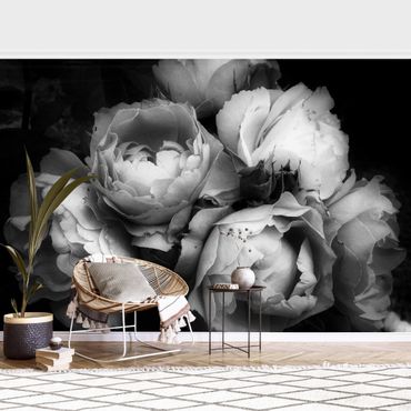 Wallpaper - Peonies On Black Shabby Black And White