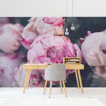 Wallpaper - Peony Blossom Shabby