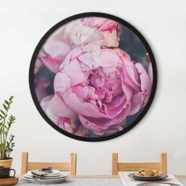 Circular framed print - Peony Blossom Shabby
