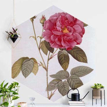 Self-adhesive hexagonal pattern wallpaper - Pierre Joseph Redoute - Apothecary's Rose