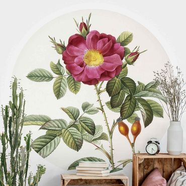 Self-adhesive round wallpaper - Pierre Joseph Redoute - Portland Rose