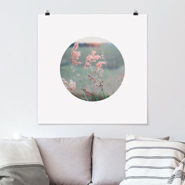 Poster - Pink Flowers In A Circle