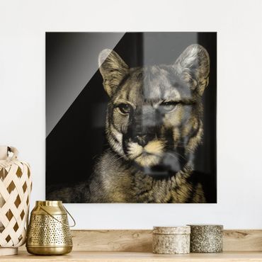 Glass print - Puma On Black - Square