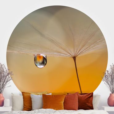 Self-adhesive round wallpaper - Dandelion In Orange