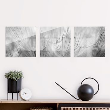 Glass print - Dandelion Macro Shot In Black And White - 3 parts